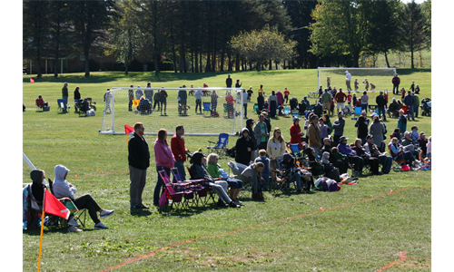 Festival Viewing